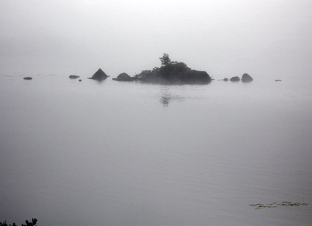 fog1-7.24.06.jpg
