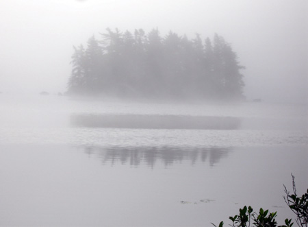 fog2-7.24.06.jpg