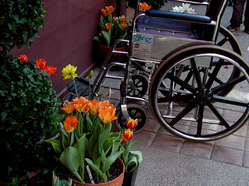 0313wheelchair-flowers.jpg