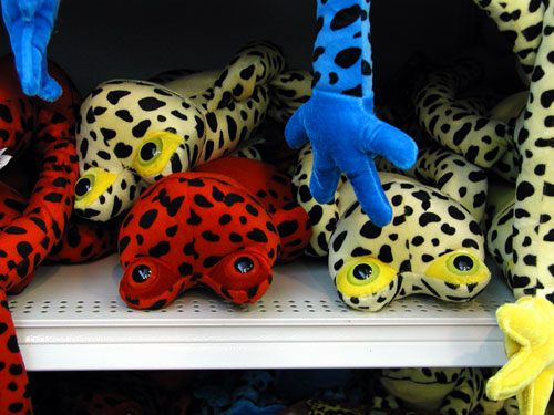 frogs-on-shelf.jpg